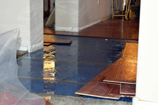 Professional Flood Damage Repair technician working in Hunter, OH